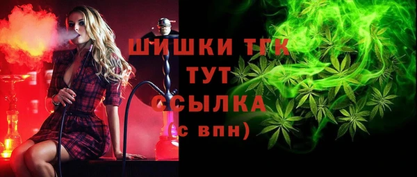 прущие крисы Белокуриха